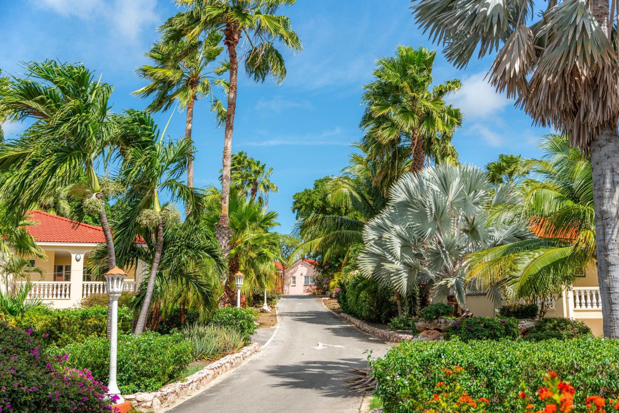 Livingstone Jan Thiel Resort Willemstad Exterior foto